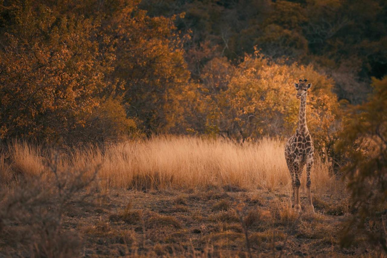Leshiba Wilderness Villa Louis Trichardt Luaran gambar