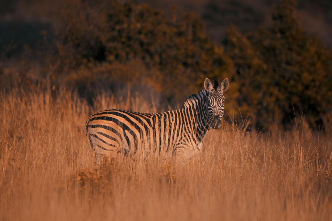 Leshiba Wilderness Villa Louis Trichardt Luaran gambar